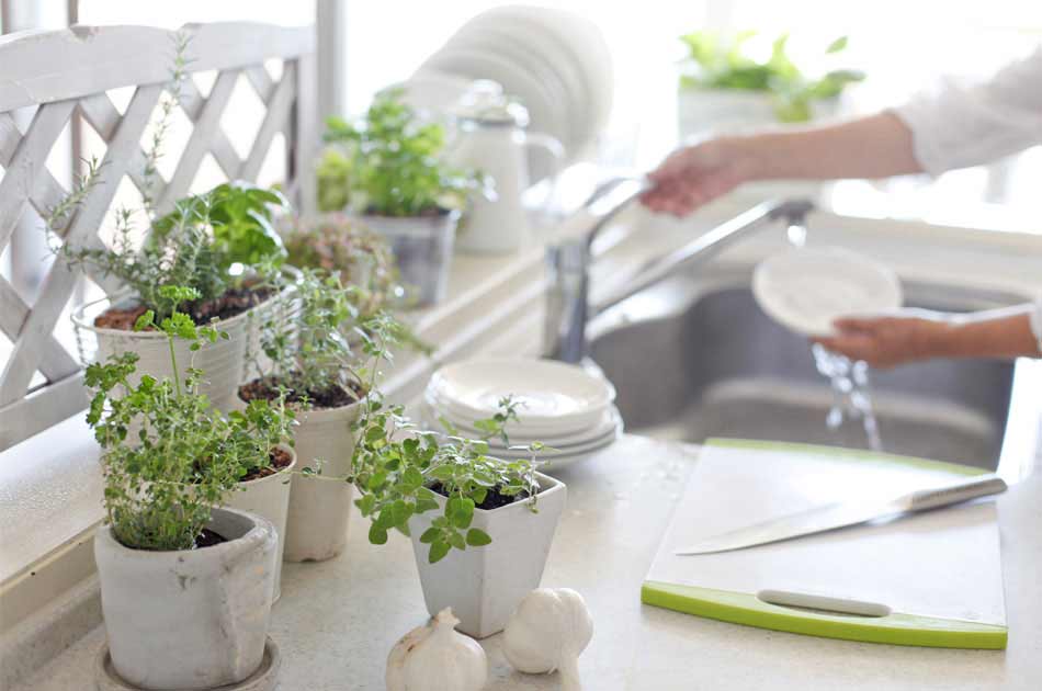 A woman washes dishes at her sink surrounded by plants
